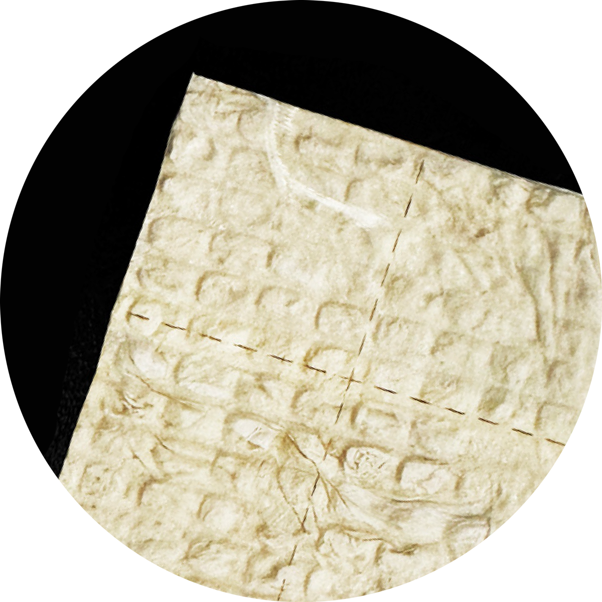 EPIEFFECT-EDGE-product-mockup CELERA Skin Substitute