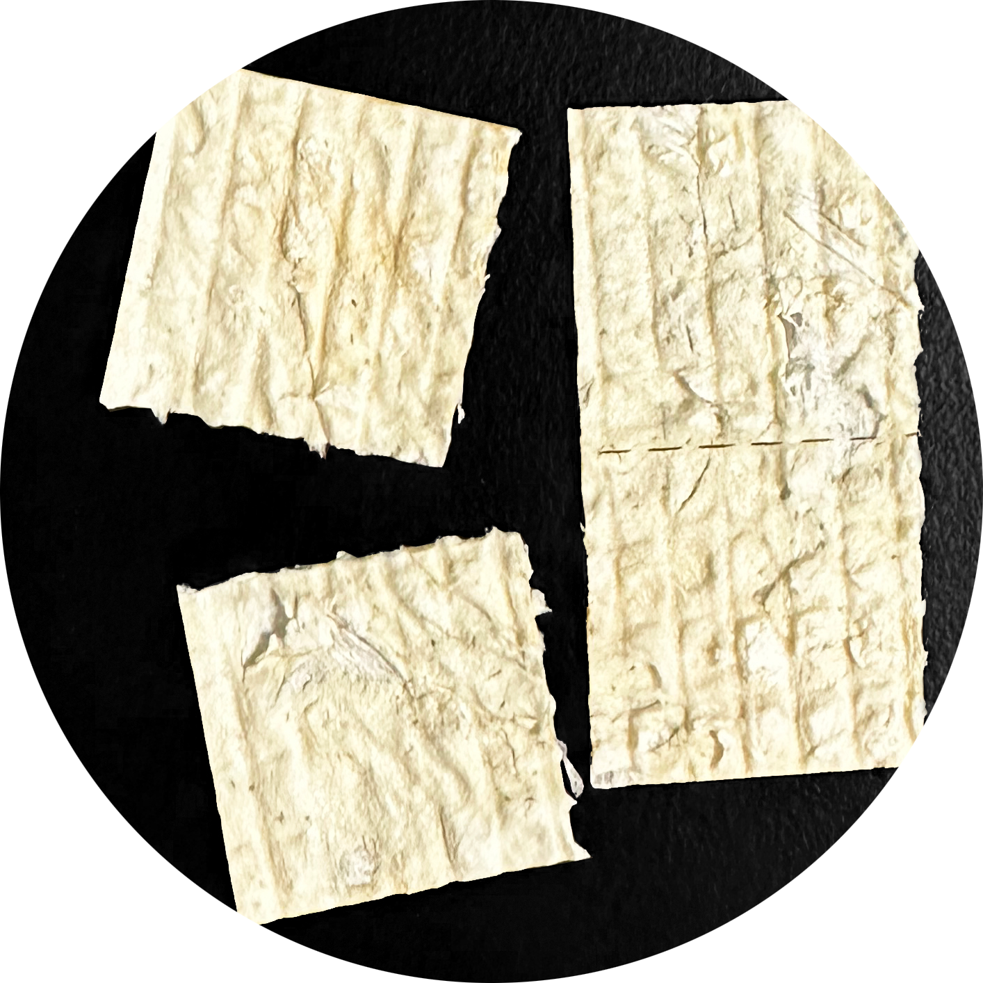 Epieffect-Edge-Product-shot-separated-1 CELERA Skin Substitute