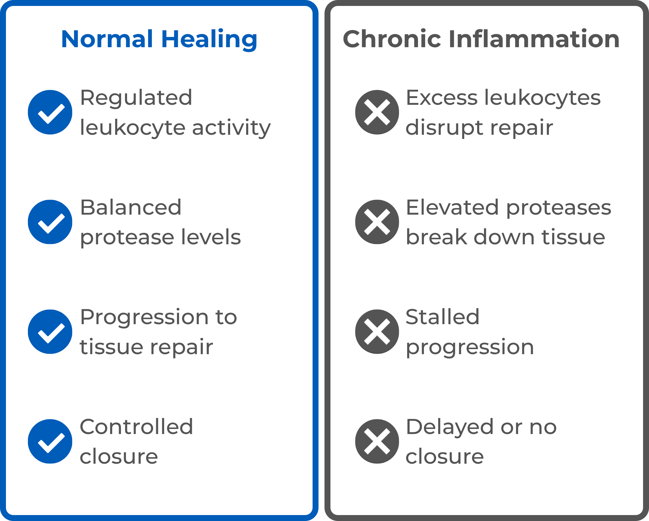 Normal Healing vs. Chronic Inflammation