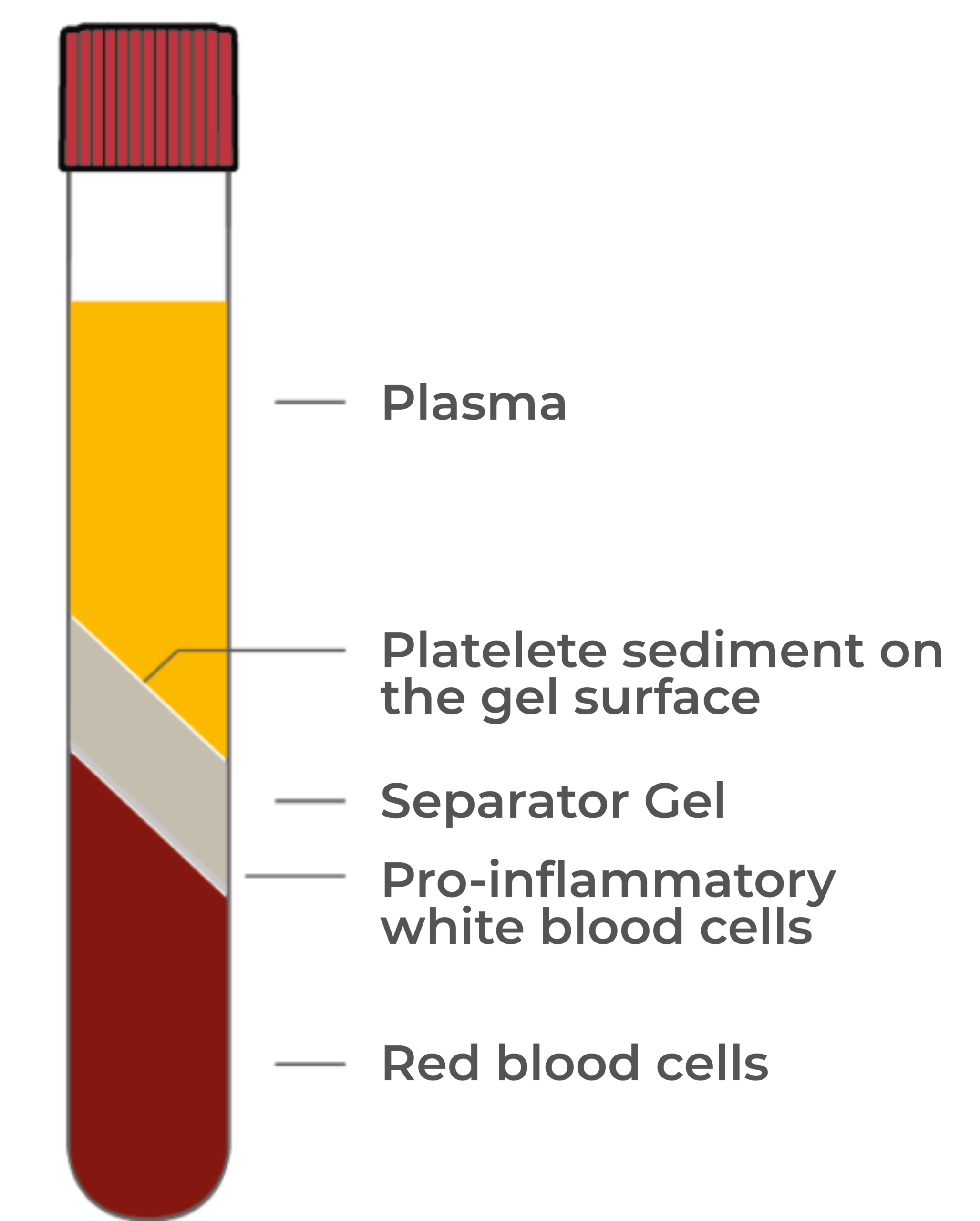 RegenKit Wound Gel Composition Image